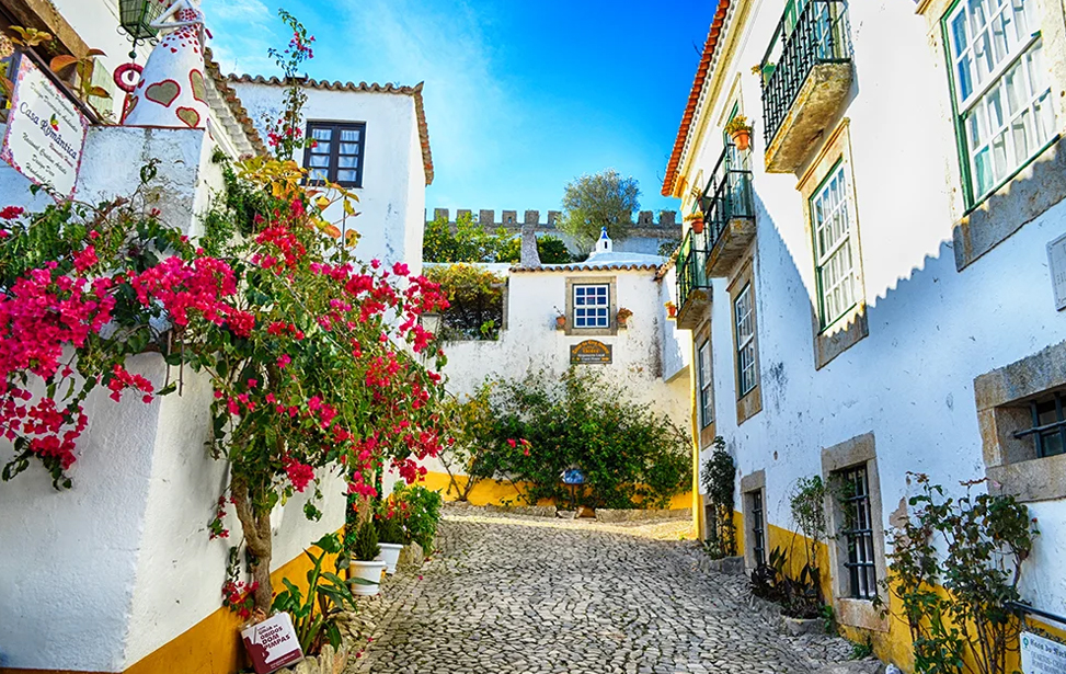 Obidos, Peniche, Baleal and Mafra Private Tour from Lisbon
