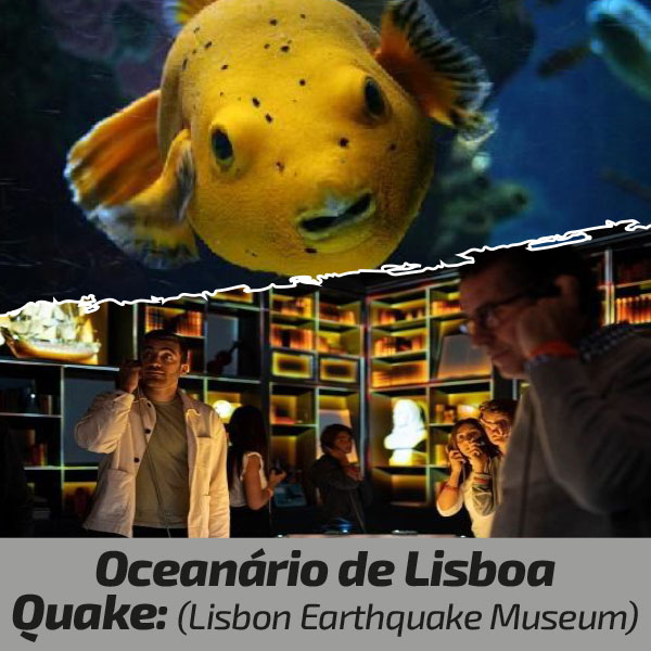 Oceanarium & Quake: (Lisbon Earthquake Museum) Combi-ticket